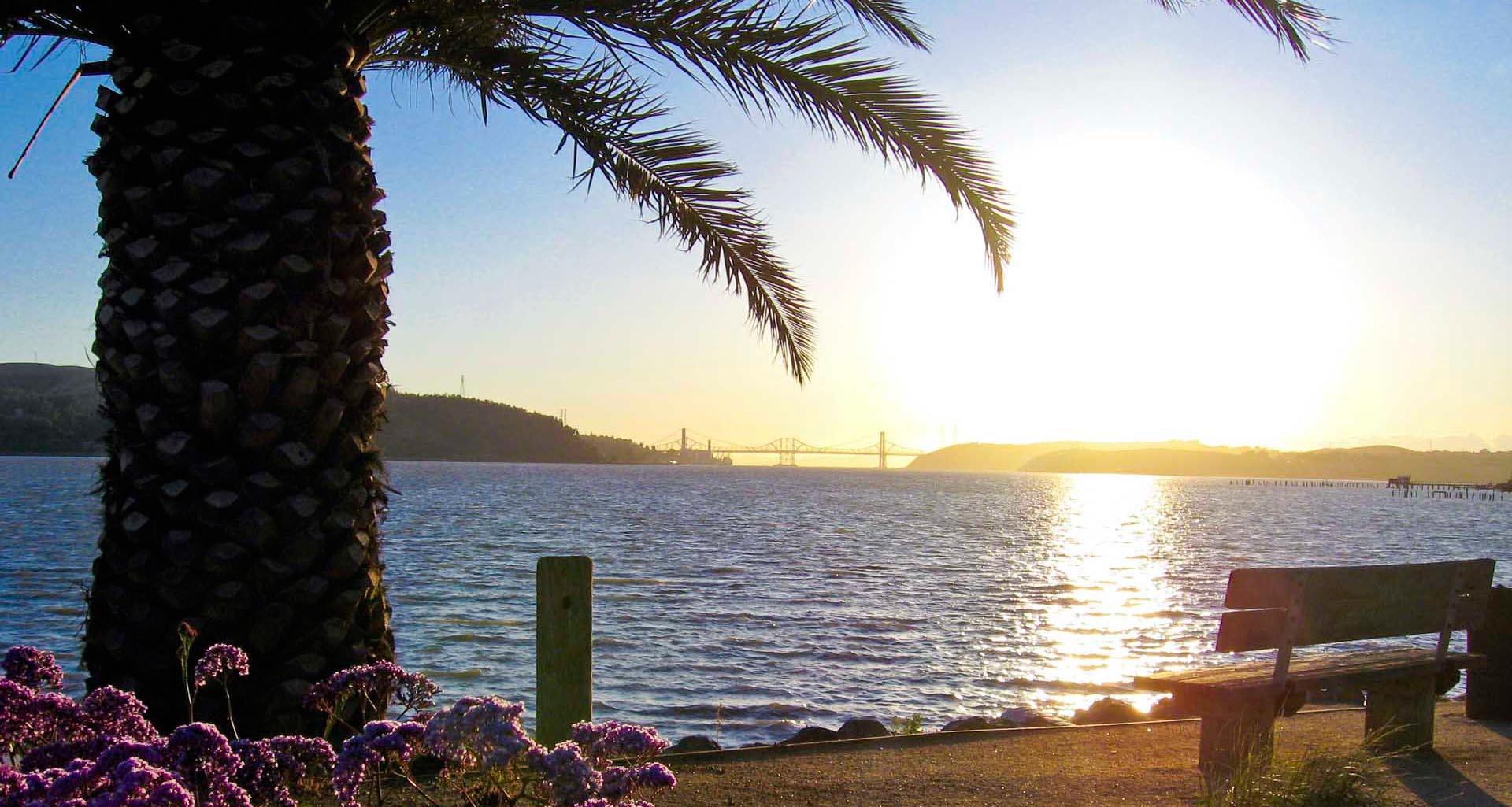 LIVING IN BENICIA REDDIT visual data 6